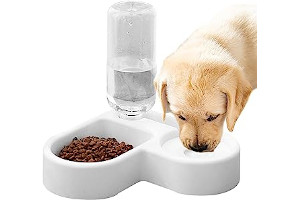 Dispensador Alimento Mascotas 618y3GZQk1L._AC_UL320_