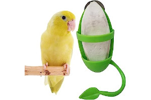 61BC-y4ngAL._AC_UL320_