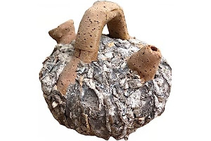 Dispenser De Agua Corriente 61Cnv+hU8tL._AC_UL320_