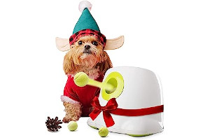 Dispensador De Pelotas Para Perros 61VzDOIeqZL._AC_UL320_