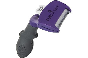 Despachador De Comida Para Gato 61X6znoqoOL._AC_UL320_