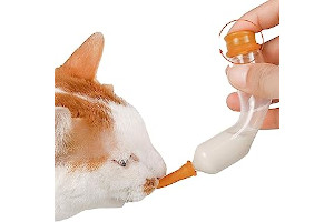 Dispensador De Leche Para Cachorros 61py50FIDgL._AC_UL320_