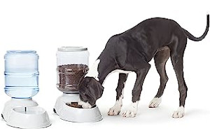 Dispensador De Comida Para Perros Easy 71FuXI2PWzL._AC_UL320_