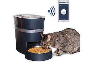 Dispensador De Pienso Para Perros Automatico 81eVvhyr1XL._AC_UL320_